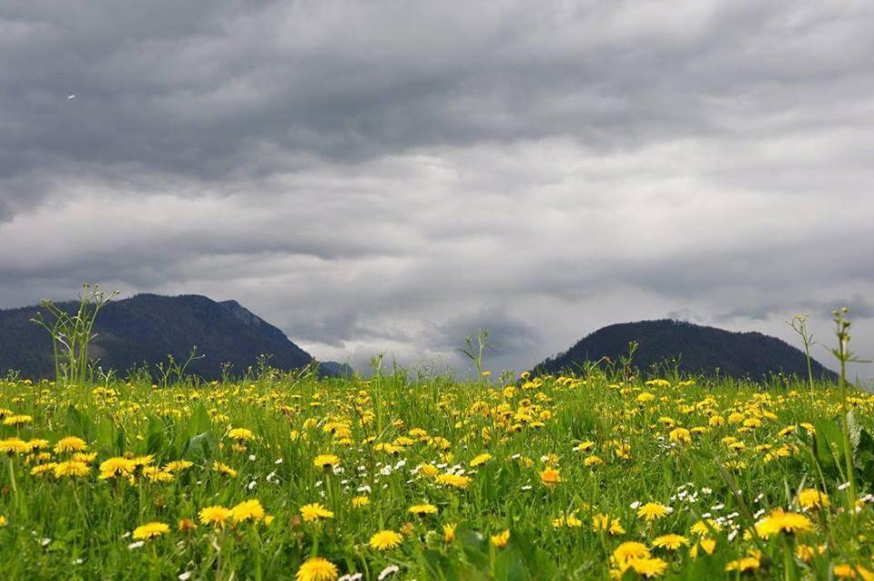 Greenheart Aussee Obersdorf Exterior foto